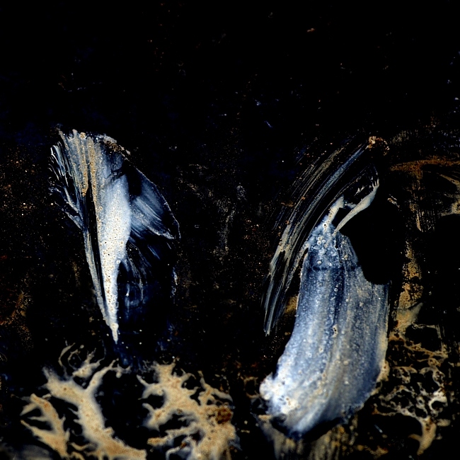 tukani